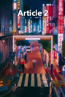 article 2 image